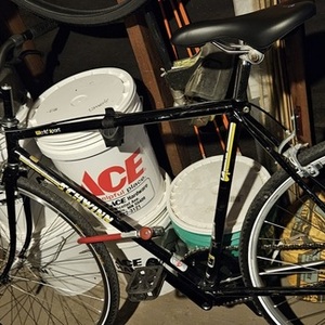 Schwinn World S Black