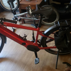 2022 Specialized Red