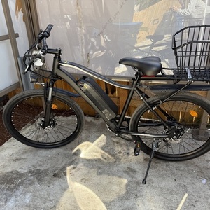 2025 HopCycle HS142506W02709 Black