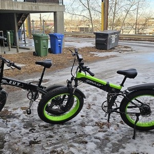 ZPAO Green and Black