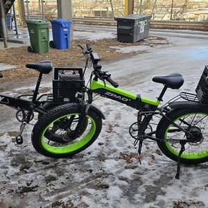 ZPAO Green and Black