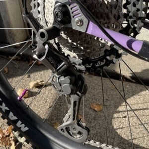 2025 Fairlight Holt Purple