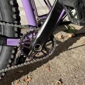 2025 Fairlight Holt Purple