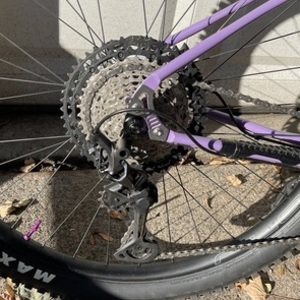 2025 Fairlight Holt Purple