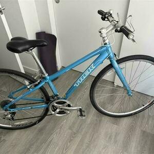 2010 Trek 7.2 FX WSD Blue