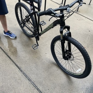 2025 Mongoose 27.5 inch Silver, gray or bare metal