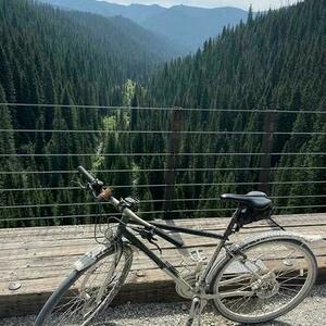 2021 Marin Bikes Muirwoods Black