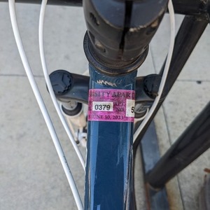 Specialized Myka Blue