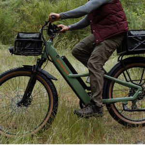 2024 Rad Power Bikes RadRunner 2 Electric Utility Bike Green