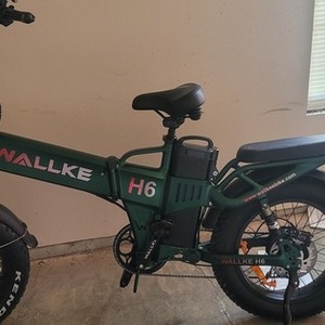 2022 Wallke H6 cargo bike rear Green