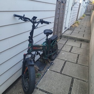 2022 Wallke H6 cargo bike rear Green