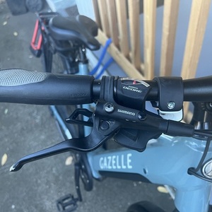 2021 Gazelle T10+ Teal