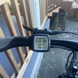 2021 Gazelle T10+ Teal