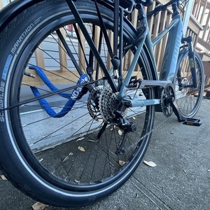2021 Gazelle T10+ Teal