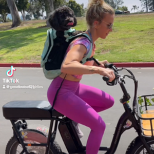 2022 Rad Power Bikes Radrunner 2 Black