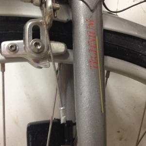 Raleigh Technium 460  Silver or Gray