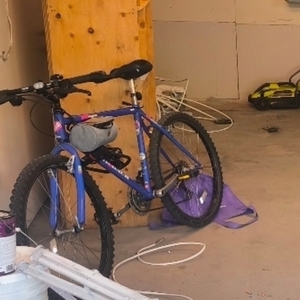2025 Diamondback Blue