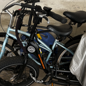 2021 Rad Power Bikes RadRunner Electric Bike Black