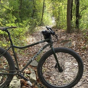 2015 Ritchey Commando Green