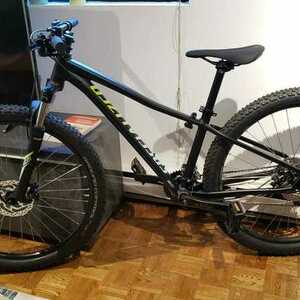 2020 Specialized Pitch Black