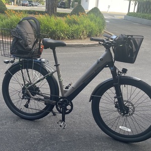 2022 Ride1Up LMT'D V2 Green