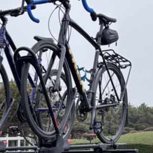 2020 Trek Domane 2.3 Black and Yellow or Gold