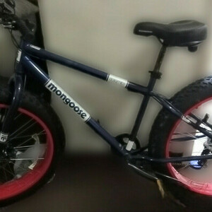 2025 Mongoose Dolomite