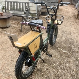 2022 Rad Power Bikes Radrunner 2 Green