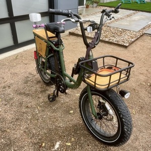 2022 Rad Power Bikes Radrunner 2 Green