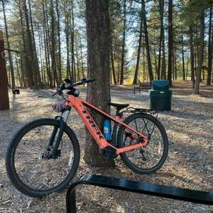 2023 Trek Trek Powerfly 4 Gen 4 Pink
