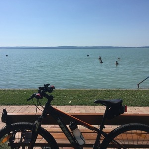 2015 Trek Marlin 5 Black