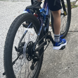 2025 Trek Purple