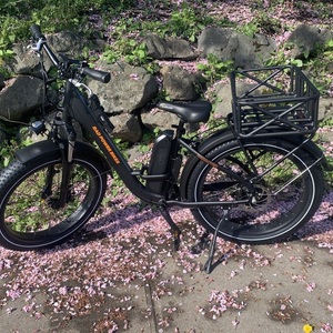 2020 Rad Power Bikes Fat Tire Rad Rover Step Thru Black