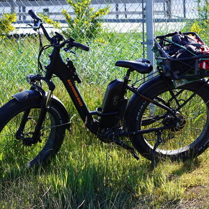 2020 Rad Power Bikes Fat Tire Rad Rover Step Thru Black