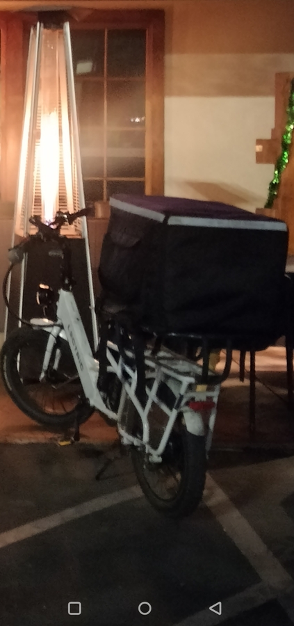 Cargo Bike Rear photo