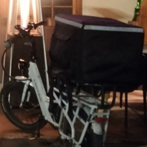 2023 Lectric eBikes Xpedition Dual-Battery Cargo ebike cargo bike rear White and Blue