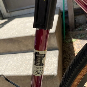 1996 Fuji Sagress Red