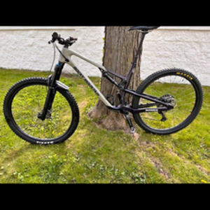 2021 Rocky Mountain Bicycles Instinct C50 Silver, gray or bare metal and Purple