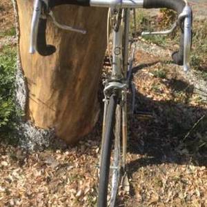 Ross 63 Silver or Gray