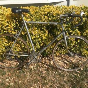 Ross 63 Silver or Gray