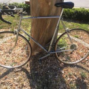 Ross 63 Silver or Gray