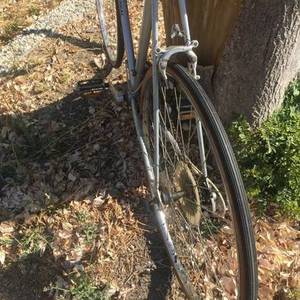 Ross 63 Silver or Gray