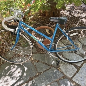 1988 Giant Womens Teal