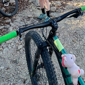 2019 Kona 30th Anniversary Big Honzo- Hardtail Black and Green