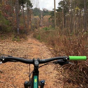 2019 Kona 30th Anniversary Big Honzo- Hardtail Black and Green