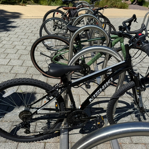 Nishiki Pueblo Black and Silver, gray or bare metal