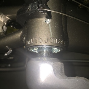 2016 Diamondback Insight 1 Silver or Gray and Green