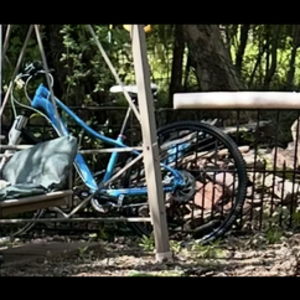 2013 Trek 7.5 FX WSD Blue