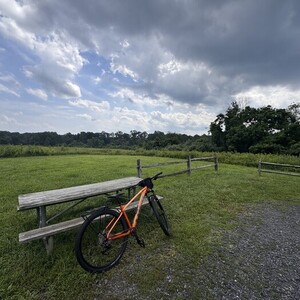 2022 Trek Marlin 6 Orange