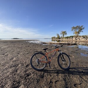2022 Trek Marlin 6 Orange
